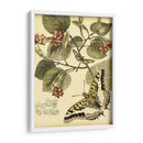 Mini Mariposas Caprichosas I - Vision Studio | Cuadro decorativo de Canvas Lab