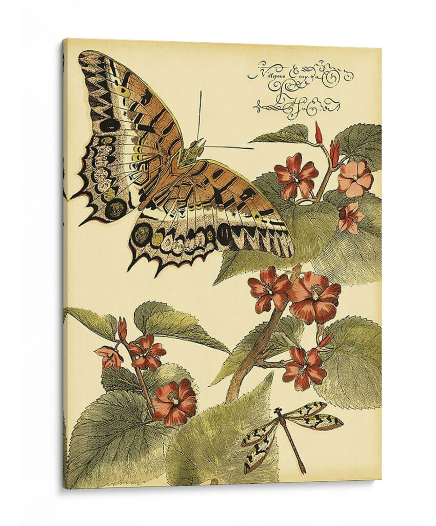 Mini Mariposas Caprichosas Ii - Vision Studio | Cuadro decorativo de Canvas Lab