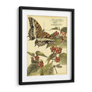 Mini Mariposas Caprichosas Ii - Vision Studio | Cuadro decorativo de Canvas Lab