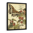 Mini Mariposas Caprichosas Ii - Vision Studio | Cuadro decorativo de Canvas Lab