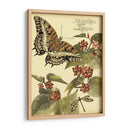 Mini Mariposas Caprichosas Ii - Vision Studio | Cuadro decorativo de Canvas Lab
