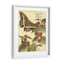 Mini Mariposas Caprichosas Ii - Vision Studio | Cuadro decorativo de Canvas Lab