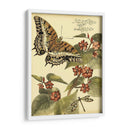 Mini Mariposas Caprichosas Ii - Vision Studio | Cuadro decorativo de Canvas Lab