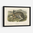 Liebre Polar - John James Audubon | Cuadro decorativo de Canvas Lab