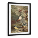 Wagtails Y Wrens | Cuadro decorativo de Canvas Lab