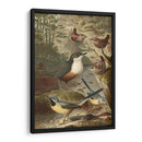 Wagtails Y Wrens | Cuadro decorativo de Canvas Lab