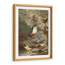 Wagtails Y Wrens | Cuadro decorativo de Canvas Lab