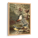 Wagtails Y Wrens | Cuadro decorativo de Canvas Lab