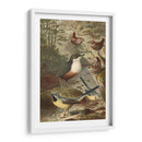 Wagtails Y Wrens | Cuadro decorativo de Canvas Lab