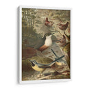 Wagtails Y Wrens | Cuadro decorativo de Canvas Lab