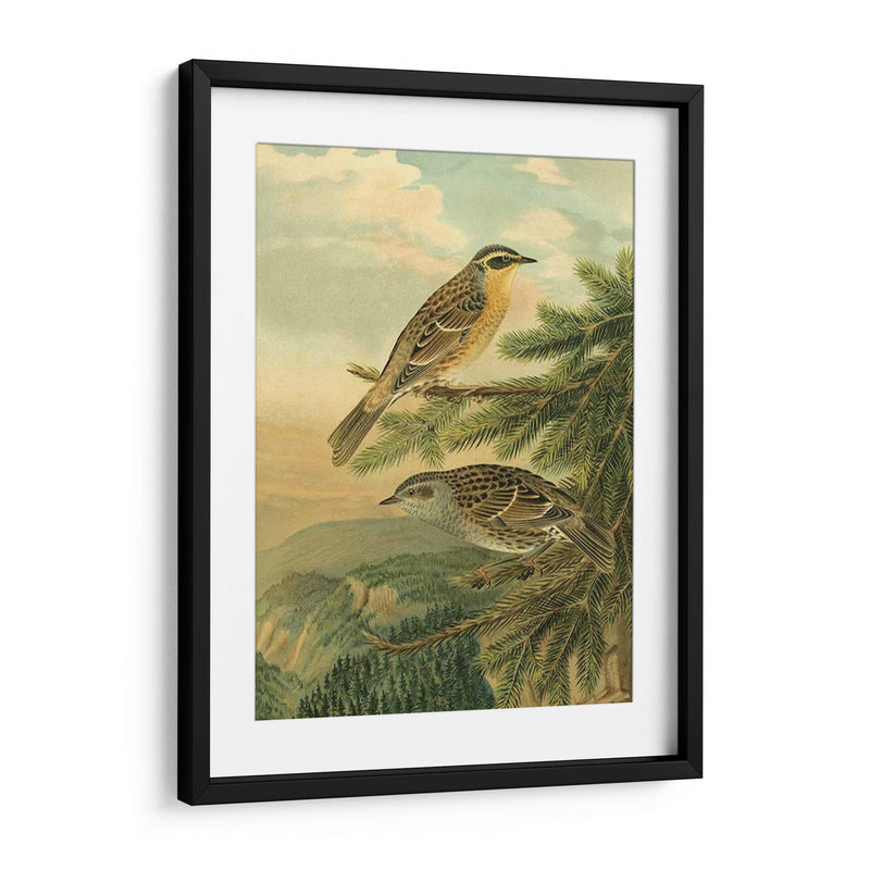 Pequeñas Aves De Bosque I - Vision Studio | Cuadro decorativo de Canvas Lab