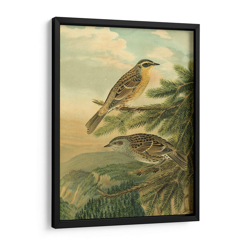 Pequeñas Aves De Bosque I - Vision Studio | Cuadro decorativo de Canvas Lab