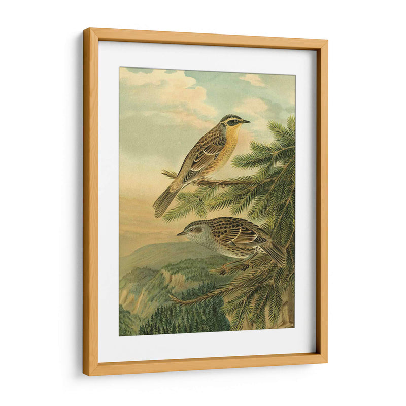 Pequeñas Aves De Bosque I - Vision Studio | Cuadro decorativo de Canvas Lab