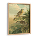 Pequeñas Aves De Bosque I - Vision Studio | Cuadro decorativo de Canvas Lab