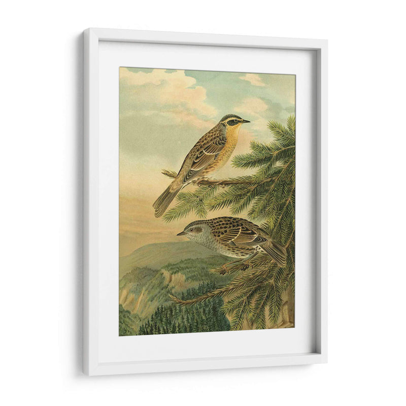 Pequeñas Aves De Bosque I - Vision Studio | Cuadro decorativo de Canvas Lab