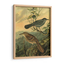 Pequeñas Aves De Bosques Iv - Vision Studio | Cuadro decorativo de Canvas Lab