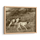 Rip Rap Y Muchacho De Prisa - E.H. Osthaus | Cuadro decorativo de Canvas Lab