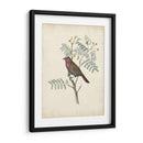 Pájaros Delicados Ii | Cuadro decorativo de Canvas Lab