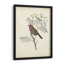 Pájaros Delicados Ii | Cuadro decorativo de Canvas Lab