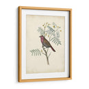 Pájaros Delicados Ii | Cuadro decorativo de Canvas Lab