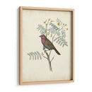 Pájaros Delicados Ii | Cuadro decorativo de Canvas Lab