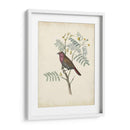 Pájaros Delicados Ii | Cuadro decorativo de Canvas Lab