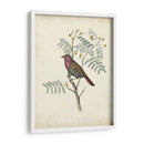 Pájaros Delicados Ii | Cuadro decorativo de Canvas Lab