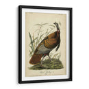 Audubon Wild Turkey - John James Audubon | Cuadro decorativo de Canvas Lab