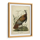 Audubon Wild Turkey - John James Audubon | Cuadro decorativo de Canvas Lab