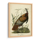 Audubon Wild Turkey - John James Audubon | Cuadro decorativo de Canvas Lab