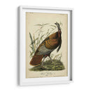 Audubon Wild Turkey - John James Audubon | Cuadro decorativo de Canvas Lab