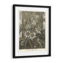 Blue Pasionflower (A) - Robert J. Thornton | Cuadro decorativo de Canvas Lab