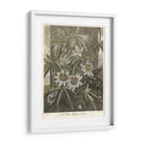 Blue Pasionflower (A) - Robert J. Thornton | Cuadro decorativo de Canvas Lab