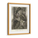 Passionflower Alado (A) - Robert J. Thornton | Cuadro decorativo de Canvas Lab
