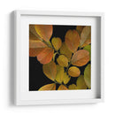 Hojas Vívidas I - Vision Studio | Cuadro decorativo de Canvas Lab