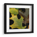 Hojas Vívidas Ii - Vision Studio | Cuadro decorativo de Canvas Lab