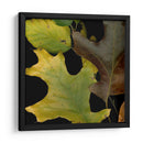 Hojas Vívidas Ii - Vision Studio | Cuadro decorativo de Canvas Lab