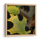 Hojas Vívidas Ii - Vision Studio | Cuadro decorativo de Canvas Lab