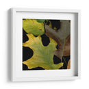 Hojas Vívidas Ii - Vision Studio | Cuadro decorativo de Canvas Lab