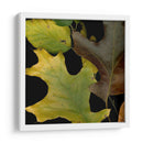 Hojas Vívidas Ii - Vision Studio | Cuadro decorativo de Canvas Lab