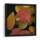 Hojas Vívidas Iii - Vision Studio | Cuadro decorativo de Canvas Lab