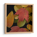 Hojas Vívidas Iii - Vision Studio | Cuadro decorativo de Canvas Lab