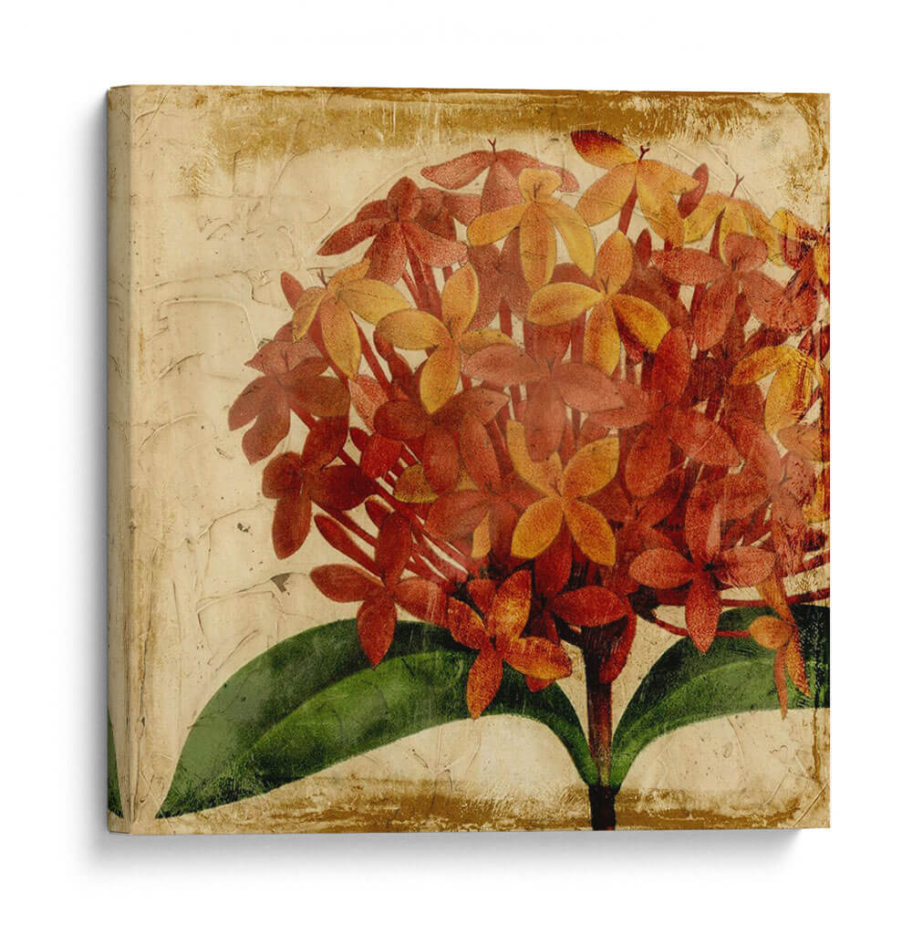 Vibrante Floral Iii - Vision Studio | Cuadro decorativo de Canvas Lab