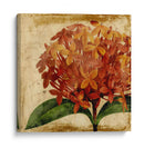 Vibrante Floral Iii - Vision Studio | Cuadro decorativo de Canvas Lab