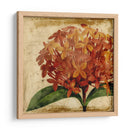 Vibrante Floral Iii - Vision Studio | Cuadro decorativo de Canvas Lab