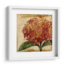 Vibrante Floral Iii - Vision Studio | Cuadro decorativo de Canvas Lab