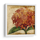 Vibrante Floral Iii - Vision Studio | Cuadro decorativo de Canvas Lab