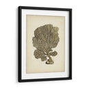 Colección Sealife Viii - Vision Studio | Cuadro decorativo de Canvas Lab