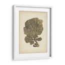 Colección Sealife Viii - Vision Studio | Cuadro decorativo de Canvas Lab