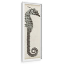 Vintage Seahorse Ii - Vision Studio | Cuadro decorativo de Canvas Lab